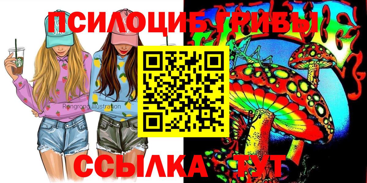 где купить наркотик  Вход с VPN  Псилоцибиновые грибы Psilocybine cubensis  Томск  Галлюциногенные грибы MAGIC MUSHROOMS 
