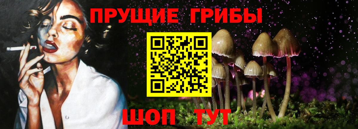 Галлюциногенные грибы Cubensis Томск